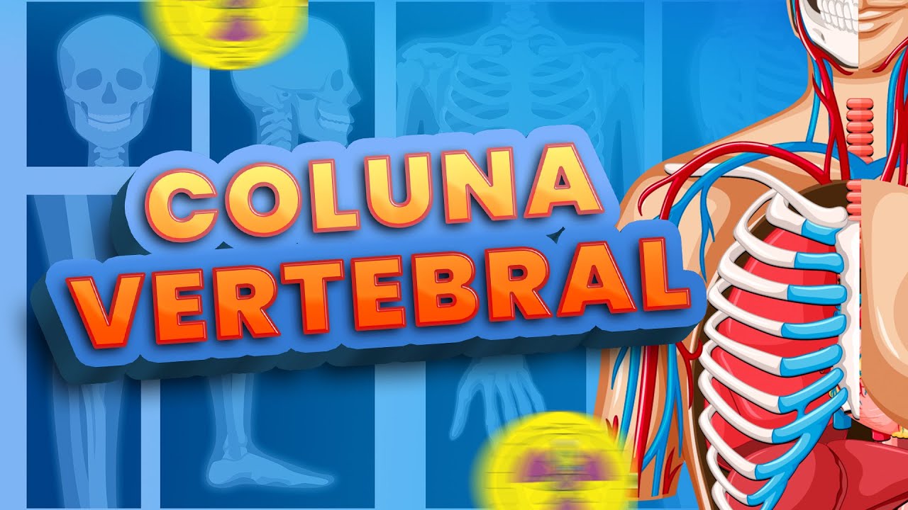 ALL SPINAL INCIDENCES | Radiologizing