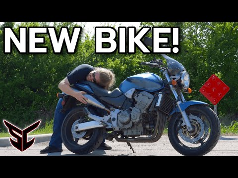 This Might Be THE BEST Honda Ever Made! HONDA HORNET RETURNS!