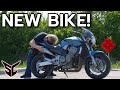 This Might Be THE BEST Honda Ever Made HONDA HORNET RETURNS