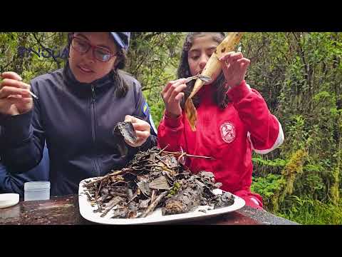 En Tangua la Familia del Agua te cuenta: Capítulo (4) Macroinvertebrados