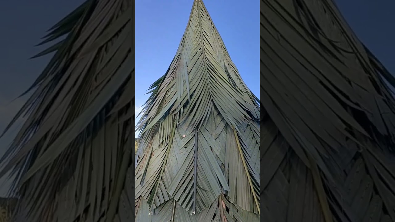 Native Christmas tree