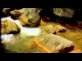 Levitation - More Than Ever People (Dekameron ...
