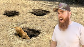 Why Are Sinkholes Popping Up All Over Our Homestead? (It's My Fault)
