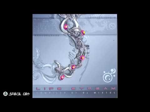 Space Cat vs Pixel   Speedy Tours