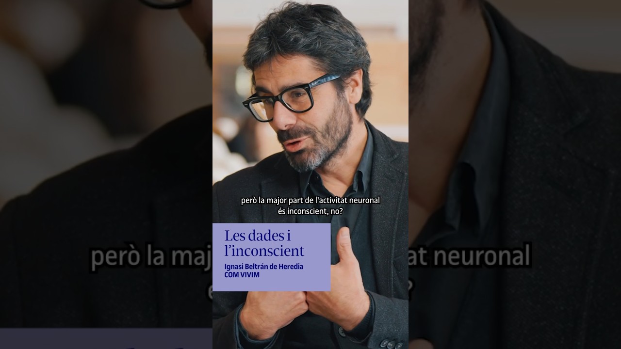 Ignasi Beltran de Heredia, director dels Estudis de Dret i Ciència Política video link