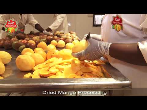 Processing Dried Mango