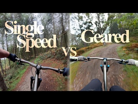 Single Speed v Geared Head-to-Head