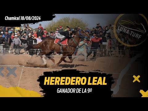 HIP. "EL QUEBRACHAL", CHAMICAL L.R. 18/08/2024 :: HEREDERA LEAL; ENHARINADO; EL LOCO; ROMANTICO