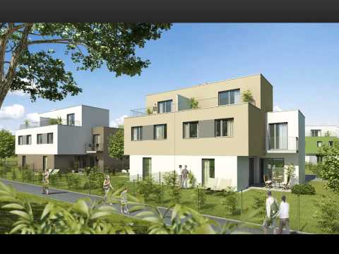 Haring Group Präsentation