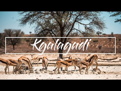 Kgalagadi Episode 2 - WHERE ARE THE ANIMALS!?