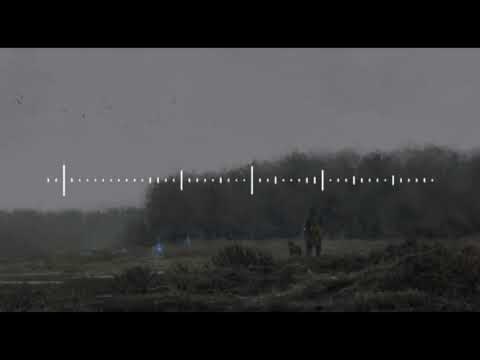 Paper Skies & Ehallz & Beatcore - Back Together (feat. Veronica Bravo)