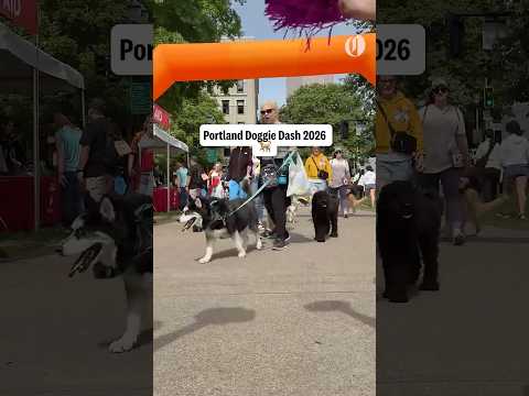 Video footage from the 2026 Oregon Humane Society Doggie Dash in Portland, where thousands of dogs completed routes across the Hawthorne and Steel bridges.