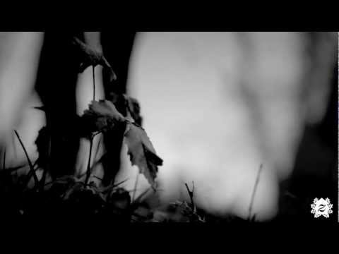 Zalker Sessions - Rogier Pelgrim - our dear lady of the plains