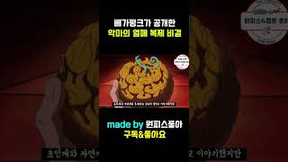 [원피스] 악마의 열매 복제 비법 40초 요약
