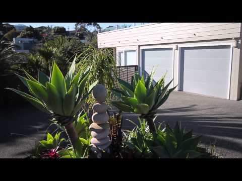 SOLD - 38 Codrington Crescent, Mission Bay - Jill Jackson and Emma John