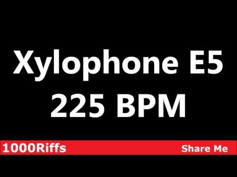 Xylophone E5 Metronome : 225 BPM ✓