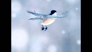 Little Bird-Albert Cummings