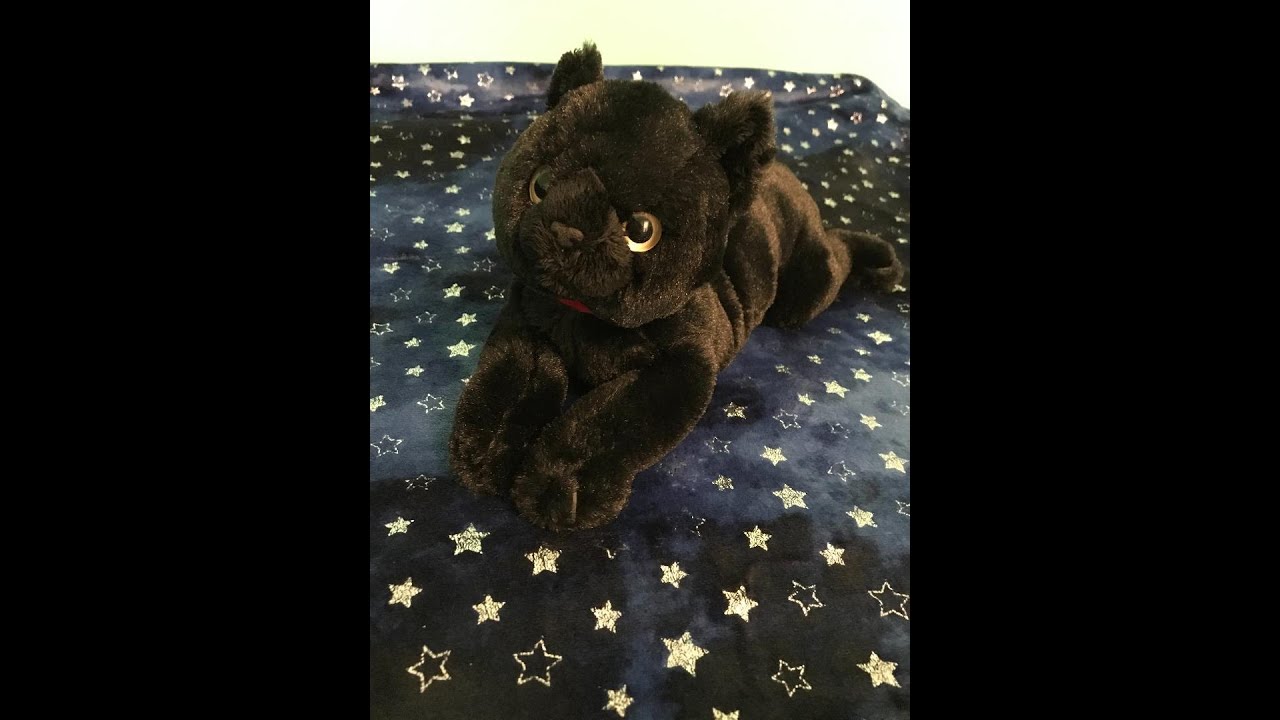 ✫ Review ✫ — Sunlemon Black Cat Plush 🐈‍⬛