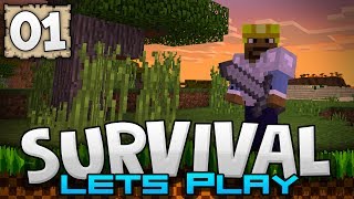 SURVIVING THE FIRST NIGHT! - Survival Let's Play Ep. 01 - Minecraft 1.2 (PE W10 XB1)