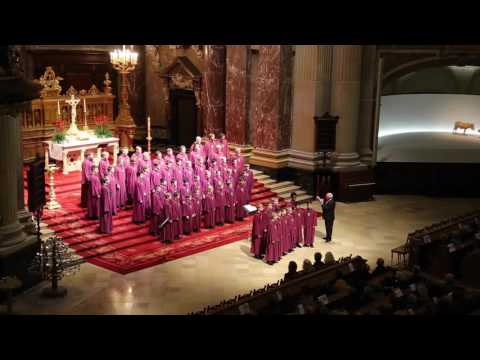 Nidaros Cathedral Boys' Choir - Stille natt (Silent night) Live in Berlin - Nidarosdomens Guttekor