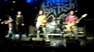Reel Big Fish Live -Take on Me @ Revolution 2011