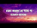Kudi Mardi Ae Tere Te lofi  | (Slowed and reverb) |
