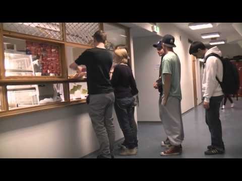 Skolefilm: Øye for øye, tann for tann