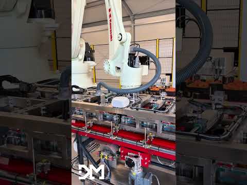 Miniatura wideo z kanału Youtube https://www.youtube.com/@dmrobotics