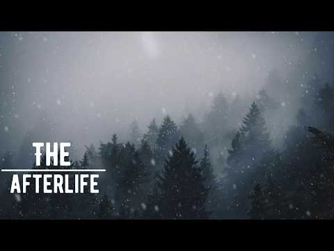 FIVE SUNS -Take Me Away