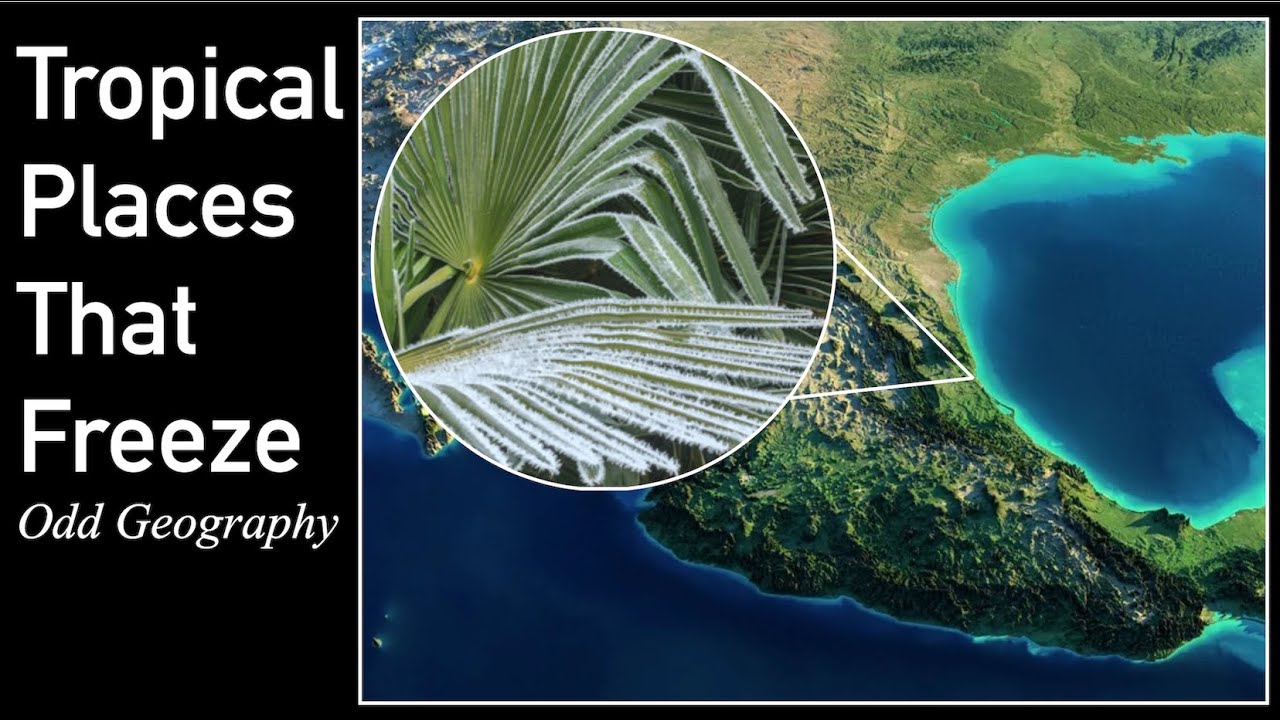 Tropical Places That Can Freeze | Odd Geography
