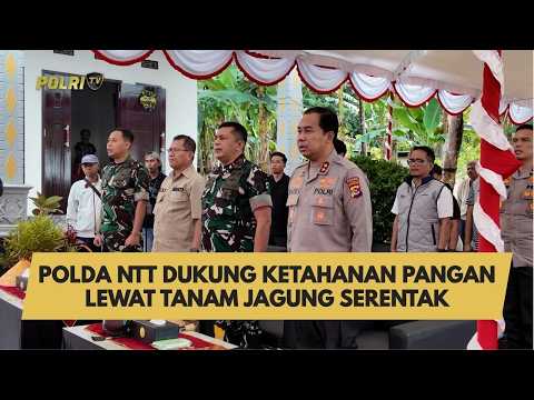 POLDA NTT DUKUNG KETAHANAN PANGAN LEWAT TANAM JAGUNG SERENTAK