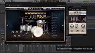 Video thumbnail for XLN Audio DS 10 Review by Audio Dexterous