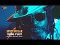 SPECTACULAR - TAKING IT EASY -  [ Official video  ] Carabeo Music