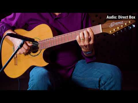Ortega Ben Woods Flametal-Two Signature Flamenco Guitar Natural image 7