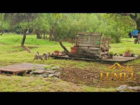 Cabañas Lumel - Carpintería San Luis - Villa de Merlo