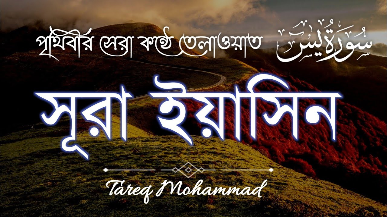 সূরা ইয়াসিন (ইয়াসীন) এর শান্তিপূর্ণ কুরআন তেলাওয়াত سورة يس |  SOFT VOICE | SURAH YASIN