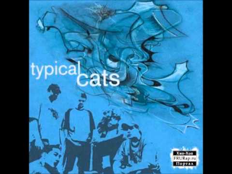 Typical Cats - Take a Number