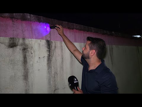 CEMITÉRIO INFESTADO POR ESCORPIÕES: VOLTAMOS PARA CONFERIR A SITUAÇÃO