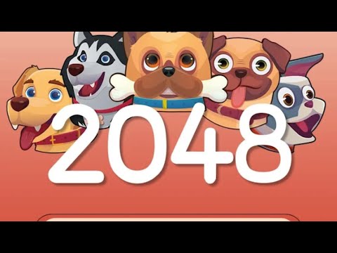 2048 Dogs Mobile Game | Gameplay Android - YouTube