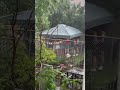Party Hilariously Blown Away In Storm 🌩