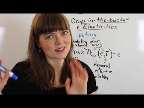 Modelling Voting: A Drop-in-the-Bucket Problem