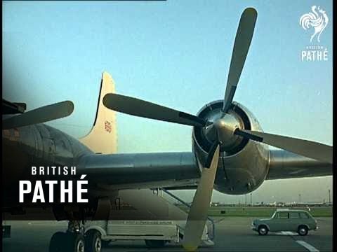 Out Takes / Cuts From Cp 623 - Reel 2 Of 2 - Airport Animals And The Great Fogel (1966)