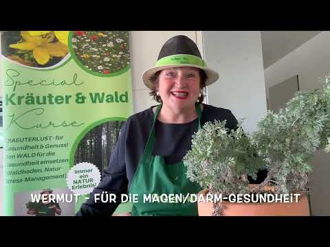 🌿 Wermut Tinktur selbst herstellen | Anleitung mit Kräuterpädagogin Ulrike Amann