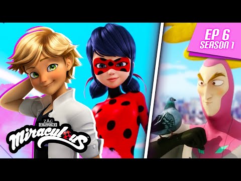 MIRACULOUS | 🐞 MR. PIGEON 🐾 | FULL EPISODE ▶️ Season 1 Episode 6