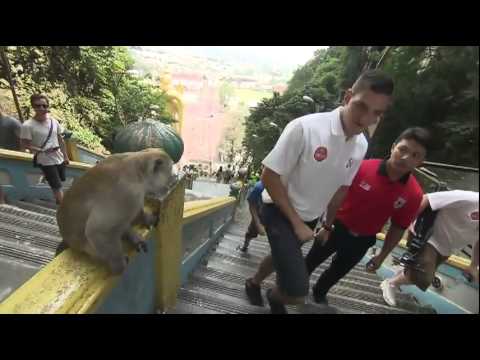 Vito Mannone v Monkey very funny moment