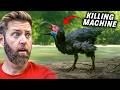 6 Animals You Ll Be Glad Are Extinct