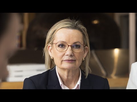 ‘Shocked but not surprised’: Liberal Party falling apart without a vision to fight for