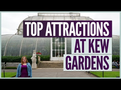 Kew Gardens Attractions (THE MUST-SEE SIGHTS) | London Travel Guide