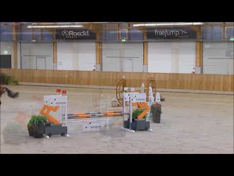 COMME LE PERE: Ludger Beerbaum stallion by Comme il Faut, www.equine-evolution.com