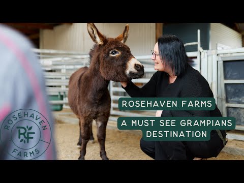Rosehaven Farms